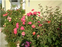 78a351df-Picture 140.jpg
